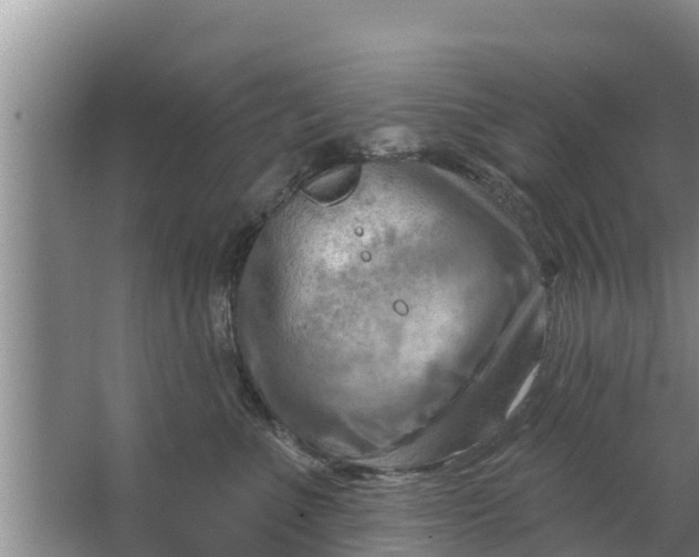 X0000063530523200602032139