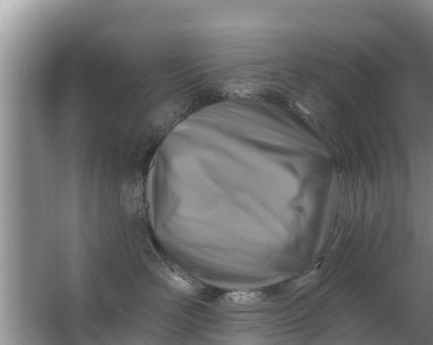 X0000063530526200602032139