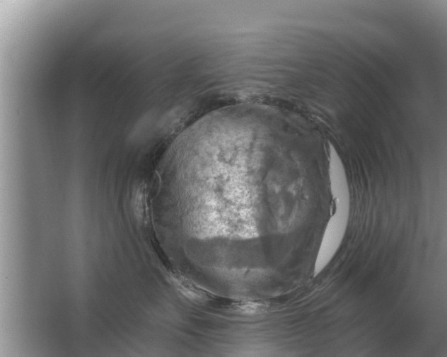 X0000063530527200602032139