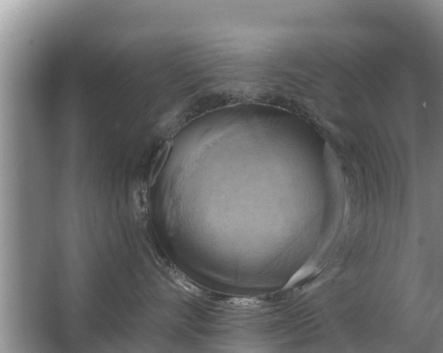 X0000063530528200602032139