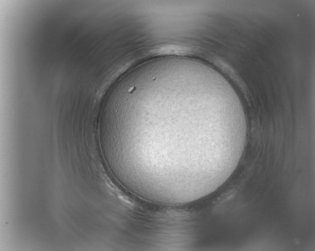 X0000063530529200602032138