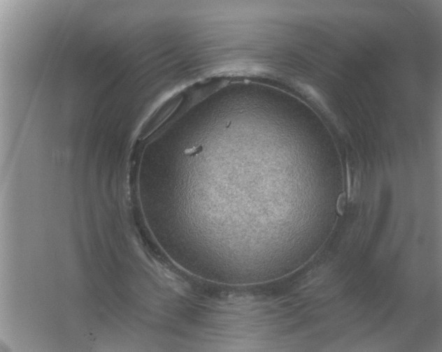 X0000063530531200602032138