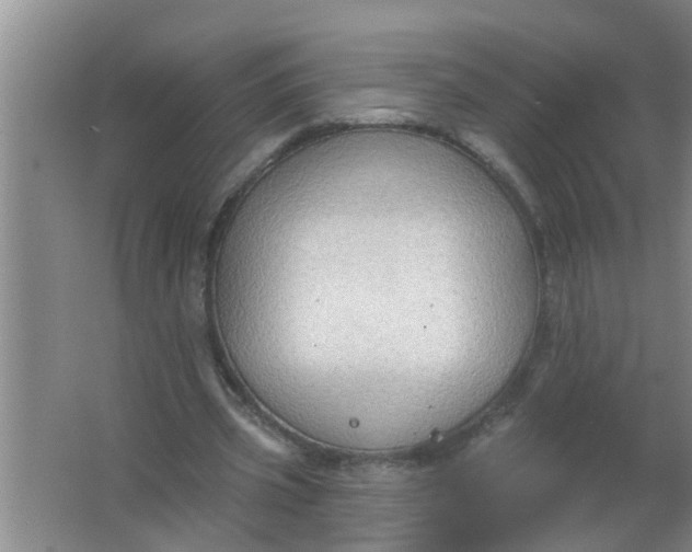 X0000063530533200602032138