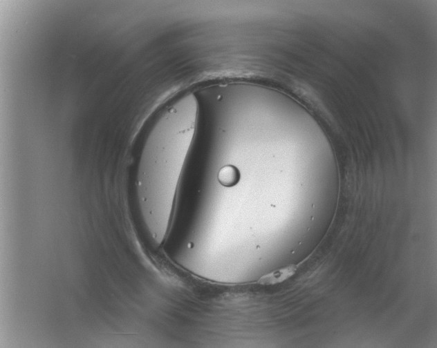 X0000063530534200602032138