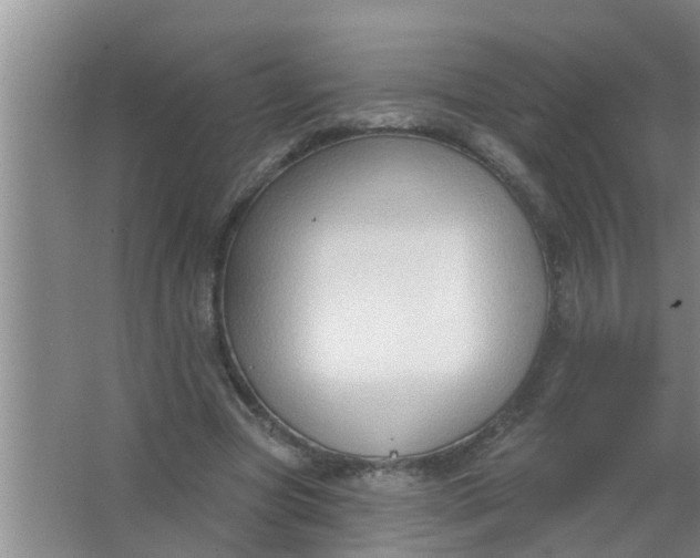 X0000063530537200602032138