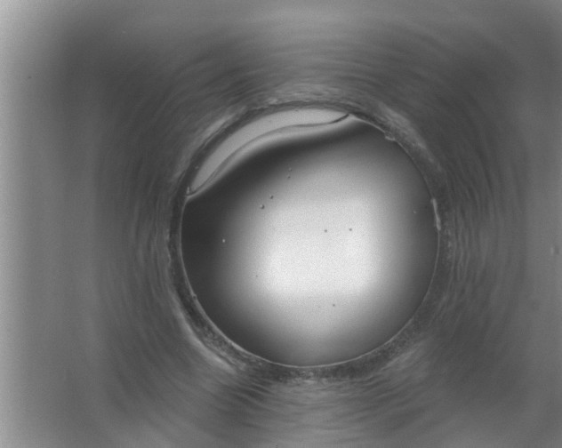 X0000063530538200602032138