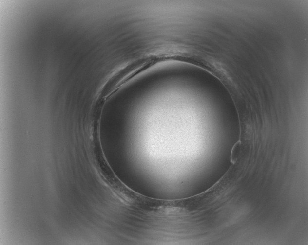 X0000063530539200602032138