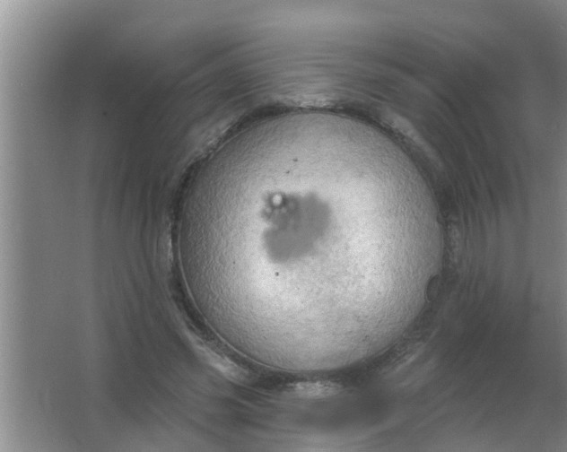 X0000063530541200602032139