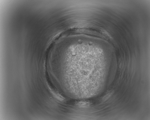 X0000063530542200602032139