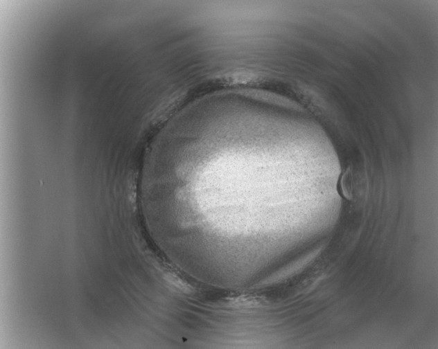 X0000063530545200602032139