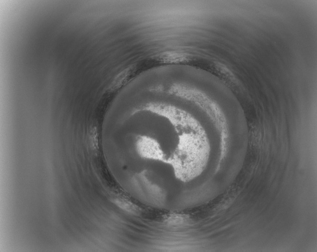 X0000063530549200602032139