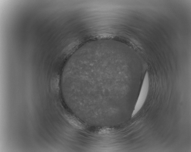 X0000063530550200602032139