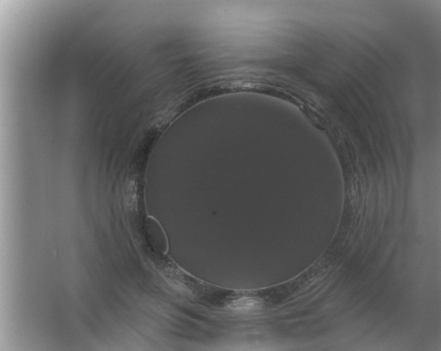 X0000063530551200602032139