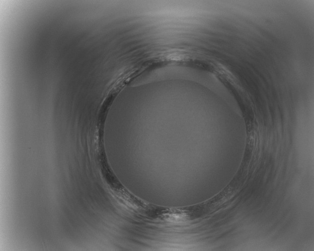 X0000063530552200602032139