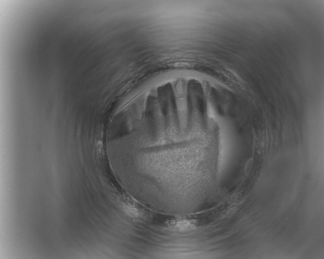 X0000063530553200602032139