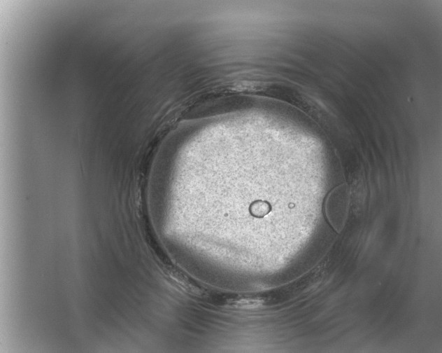 X0000063530554200602032139