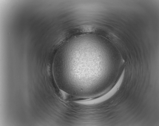 X0000063530556200602032139