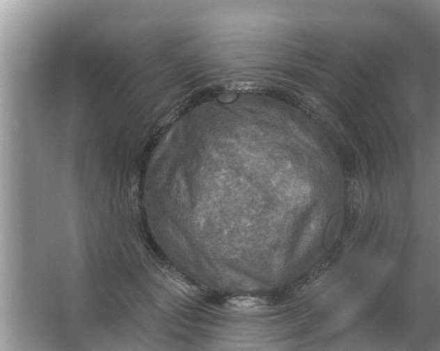 X0000063530557200602032139