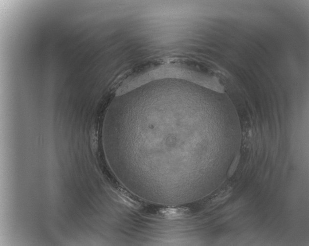 X0000063530558200602032139