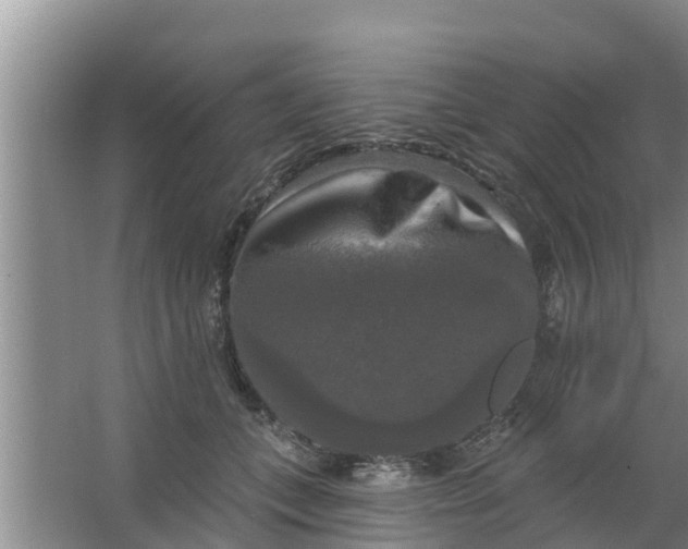 X0000063530559200602032139