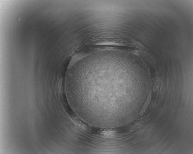 X0000063530560200602032139