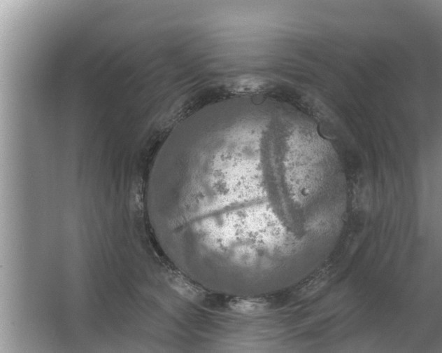 X0000063530561200602032139