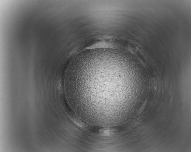 X0000063530564200602032139