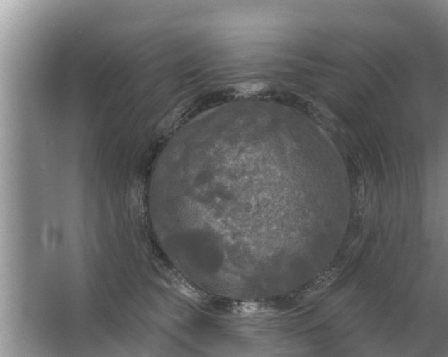 X0000063530565200602032139