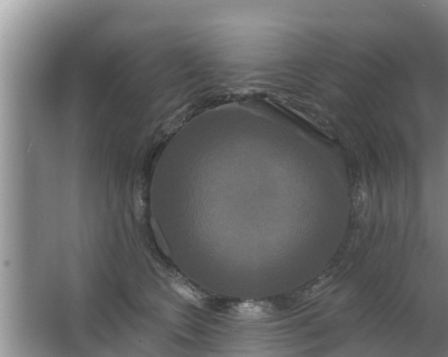 X0000063530566200602032139