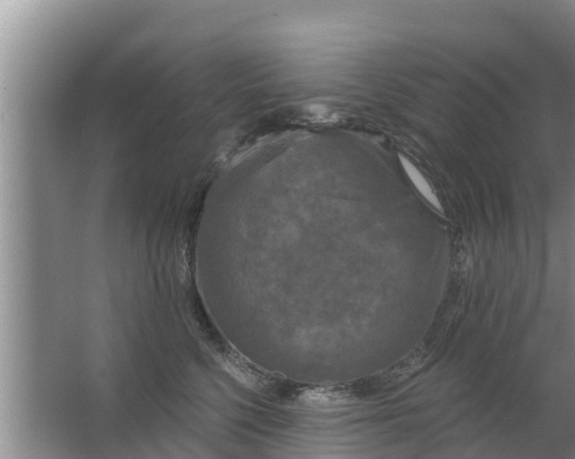 X0000063530568200602032139