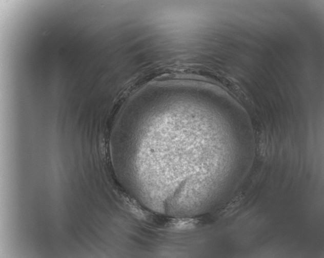 X0000063530569200602032139