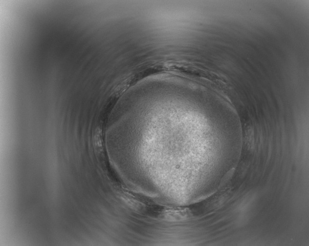 X0000063530571200602032139