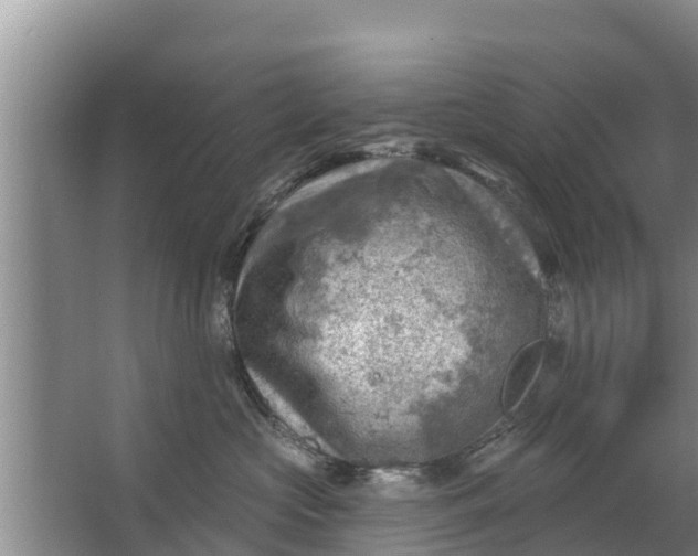 X0000063530573200602032139