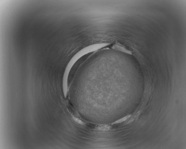 X0000063530576200602032139