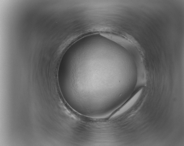 X0000063530577200602032138