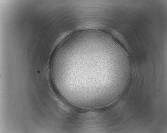 X0000063530578200602032138