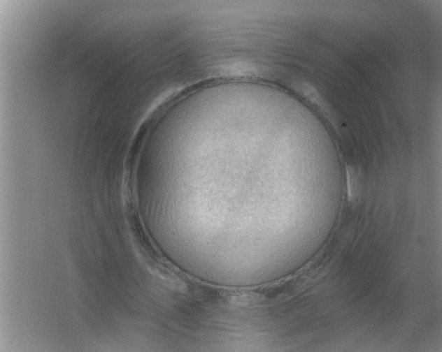 X0000063530579200602032138