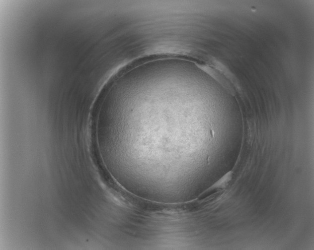 X0000063530580200602032138