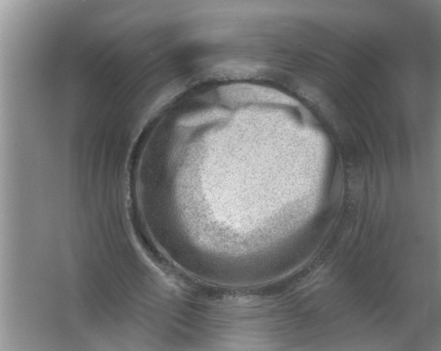 X0000063530582200602032138