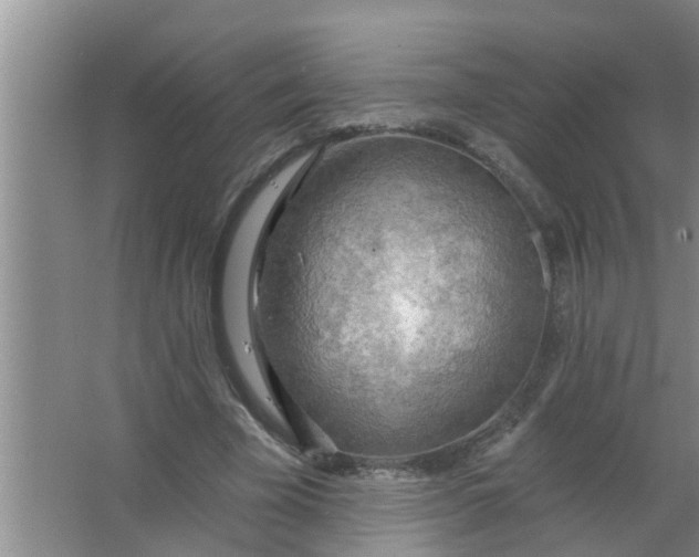 X0000063530585200602032138