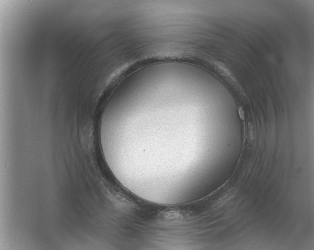 X0000063530588200602032138