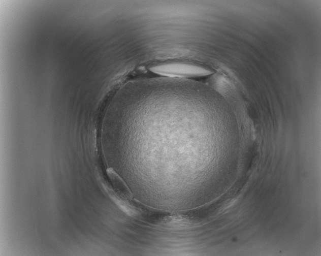 X0000063530589200602032138