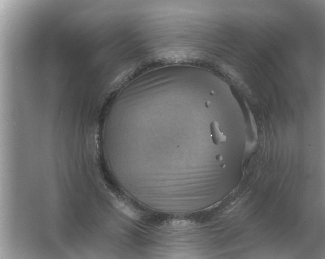 X0000063530590200602032138