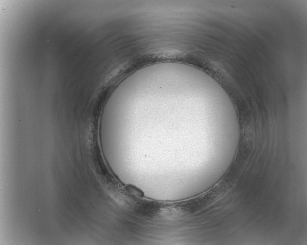 X0000063530591200602032138