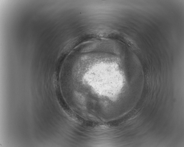 X0000063530594200602032138