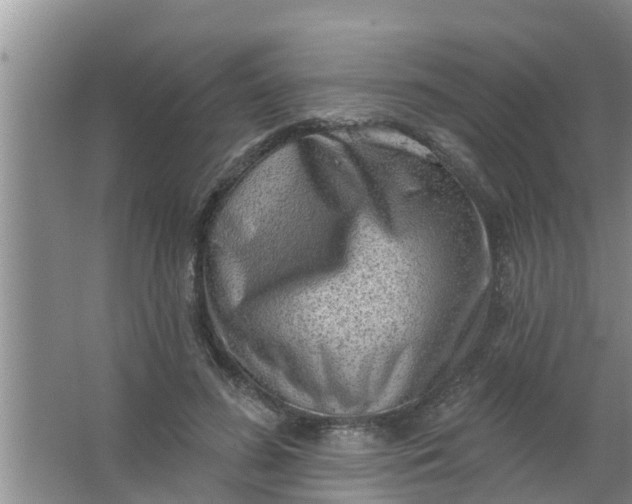 X0000063530596200602032138