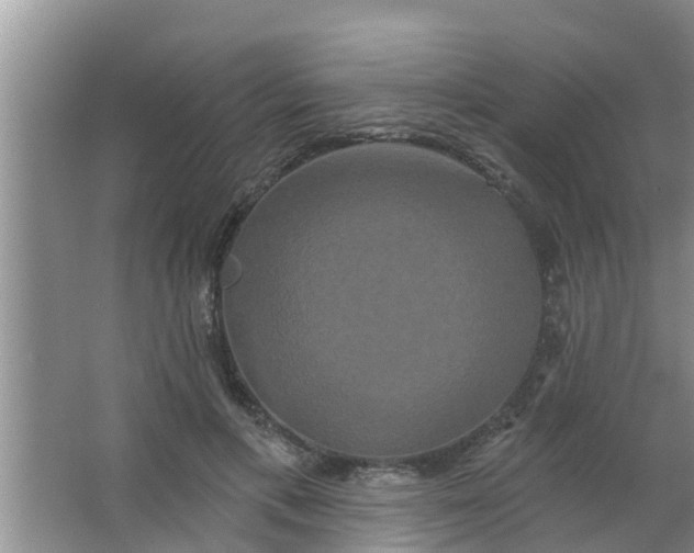 X0000063530597200602032138