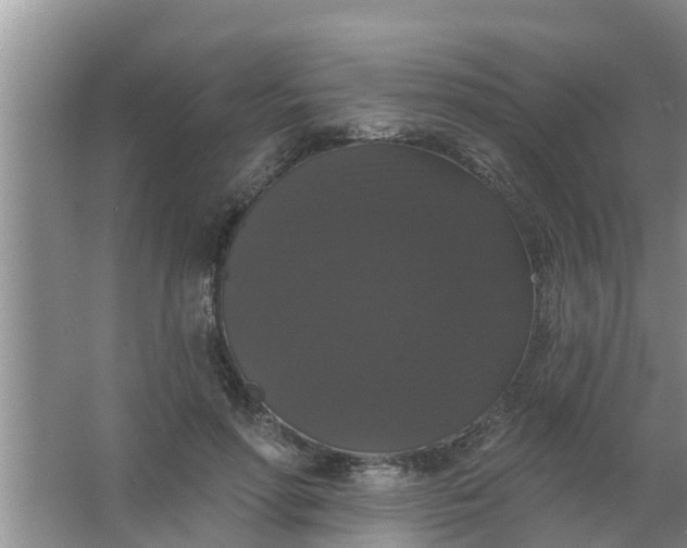 X0000063530598200602032138