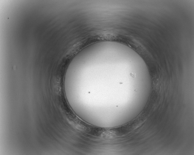 X0000063530599200602032138