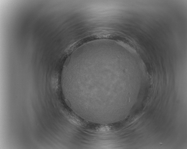 X0000063530600200602032138